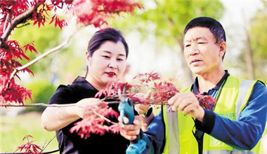 他們，是雄安大地上“閃耀的群星”